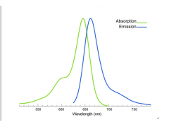 146368-14-1Cy5-SE Cy5NHS Ester