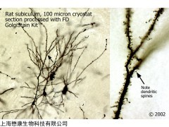 PK401A PK401 FD快速高爾基體染色試劑盒