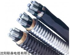 联森电缆 铝合金电缆