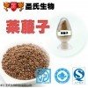 莱菔子提取物