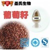 葡萄籽提取物