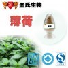 薄荷提取物