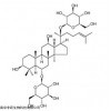 人参皂苷Rg1 南京试剂厂家