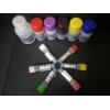 大鼠細(xì)胞色素P4502E1(CYP2E1)ELISA試劑盒
