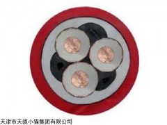 MYPTJ高压橡套电缆MYPTJ移动高压橡套电缆价格
