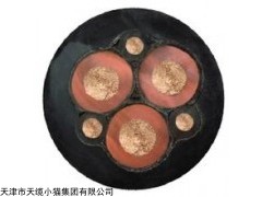 供应MCP矿用采煤机电缆MCP矿用橡套采煤机电缆