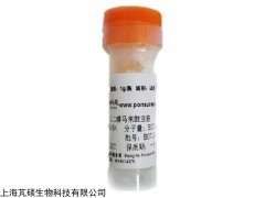 甲氧基聚乙二醇马来酰亚胺(MPEG2000-MAL)