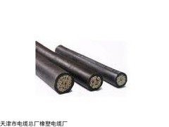 銷售3*6+1*4電纜JHS防水電纜型號(hào)