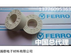 美国福禄测温环 陶瓷测温环 测温环
