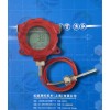 上海虹德，SXM-946-B防爆溫度計(jì)，數(shù)顯溫度計(jì)