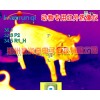 豪潤奇動物紅外熱像儀廠家，廠家價位低