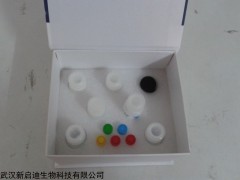 人转化生长因子-β1,TGF-β1,ELISA试剂盒