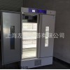 低湿恒温培养箱厂家