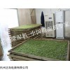 茶葉除濕機，茶葉專用除濕機，茶葉除濕機廠家
