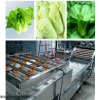 供应蔬菜清洗机叶类蔬菜表面清洗机