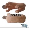 腰椎穿刺训练仿真标准化病人（电子监测）