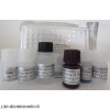 人Endoglin(ENG;CD105)ELISA试剂盒