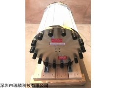 美國TELEDYNE電解槽水電解制氫制氫機(jī)