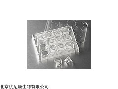 康寧Transwell板3402