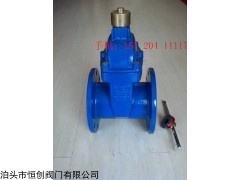 z45x软密封闸阀全心全意为客户