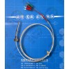 WZPQ-E32虹德测控供应埋入式双支热电阻铂电阻