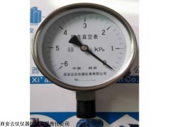 电动真空源/XY2009B/真空压力源/电动式/压力表