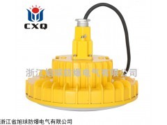 供应LED免维护防爆吸顶灯24W