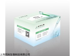 转肽酶Sortase A价格,同科生物