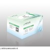 T4 DNA 连接酶实验介绍,同科生物