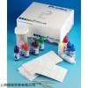 PL.030 Prolex 鏈球菌分組乳膠檢測試劑盒