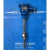WZP2-240隔爆熱電阻隔爆鉑電阻