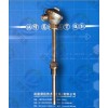 WZPK-320鎧裝鉑熱電阻