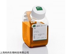 GIBCO（北美）16000-044胎牛血清