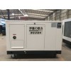20kw燃?xì)獍l(fā)電機(jī)YT25RGF