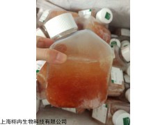 GIBCO16010-159新生牛血清 供應(yīng)