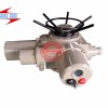 Z120-24W/T整體調(diào)節(jié)型電動(dòng)裝置