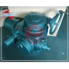 Z250-24W/Z一體化閥門電動裝置