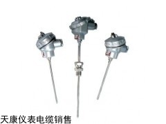 WZP、WZC電站熱電阻天康品牌廠家直銷，正規(guī)報(bào)價(jià)