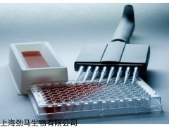 BIM大鼠2-羟雌二醇（2-HE2）ELISA试剂盒