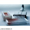 BIM大鼠2-羟雌二醇（2-HE2）ELISA试剂盒