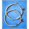 WZPQ2-E32-10c埋入式雙支鉑熱電阻