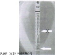 梅里埃頭孢克羅