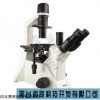 荧光正置显微镜
