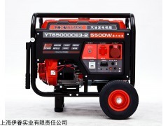 工程使用5KW汽油发电机YT6500DCE3-2