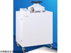 新華LMQ.C-80E高壓蒸汽滅菌器廠家