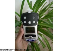 四合一氣體檢測(cè)儀美國(guó)華瑞原裝進(jìn)口PGM-2500檢測(cè)儀