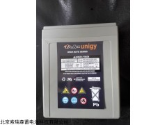 上海DAKE美國德克蓄電池904DY總代理