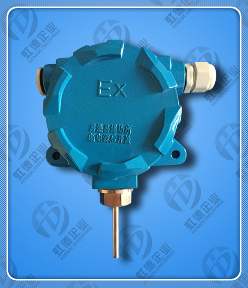 WZPB-BG防爆壁挂热电阻