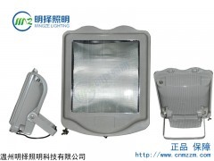 LED塔吊障碍灯MGZ9170