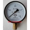 派澳壓力表Y100-1.6MPA Y-100